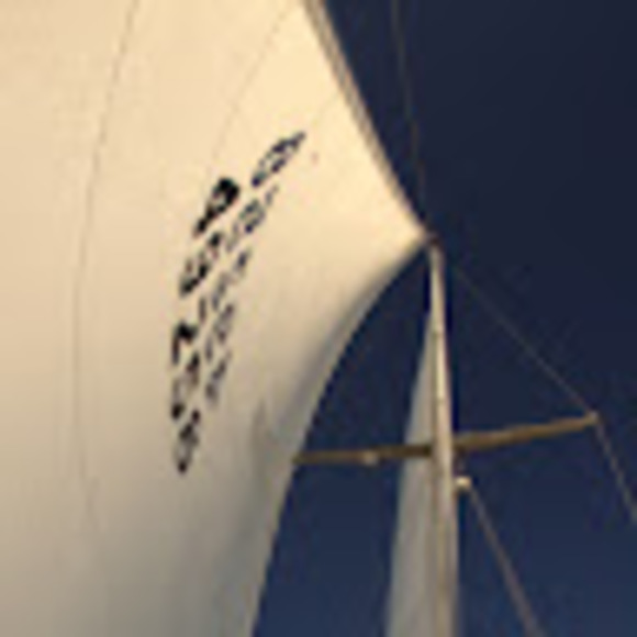 Meet your Posher, Raissa - Picture 1 of 1